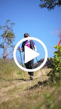 BIB:  <button type="button" onclick="openModal(26601778)" class="btn btn-primary btn-sm float-right" data-toggle="modal" data-target=".modal-high-quality">
                <i class="fa fa-download"></i> Download
                </button>